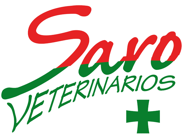 cropped-logo1.png